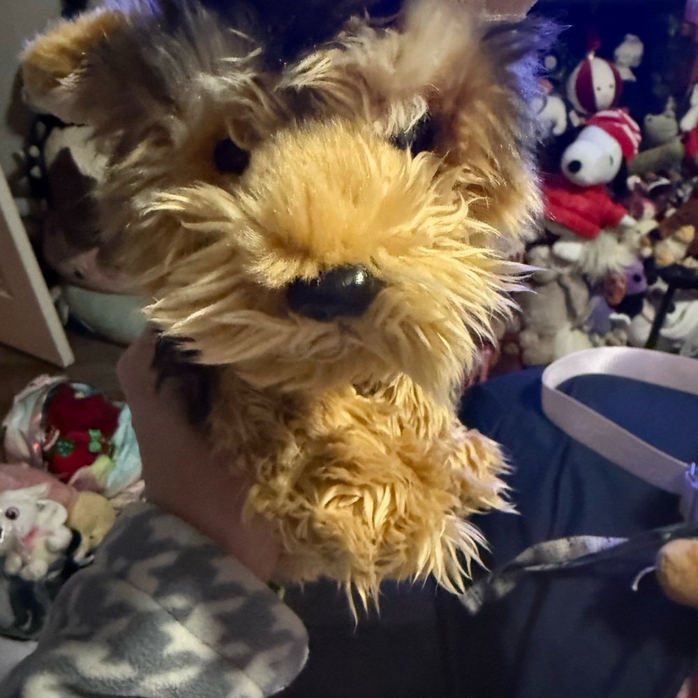 Plush Dog Toy - Brown